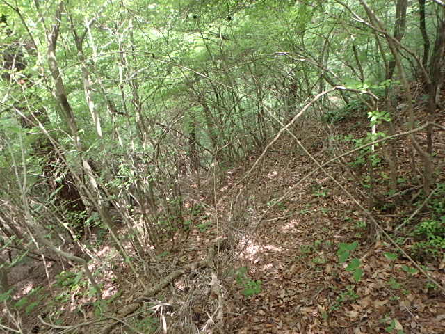 f0334143_8235861.jpg