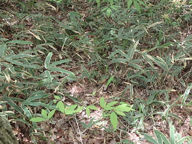 f0334143_825249.jpg