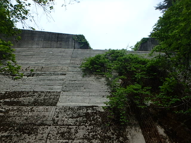 f0334143_8261221.jpg