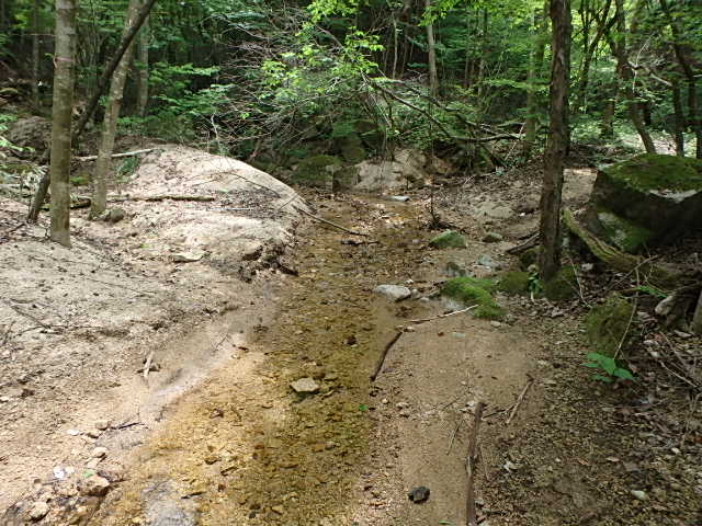 f0334143_8264274.jpg