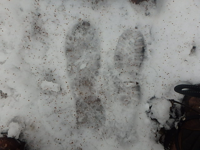 f0334143_8311738.jpg