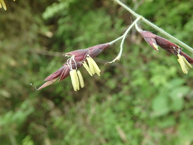 f0334143_8433584.jpg