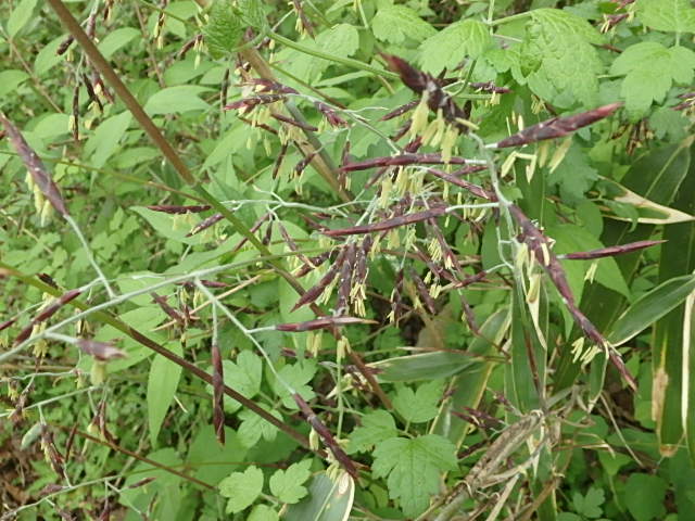 f0334143_8435037.jpg