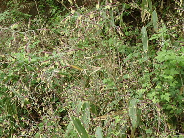 f0334143_844223.jpg