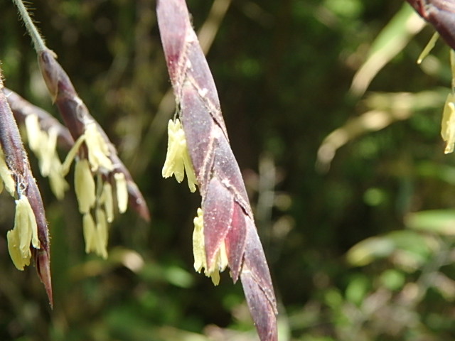 f0334143_8444638.jpg