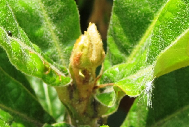b0289649_20501013.jpg