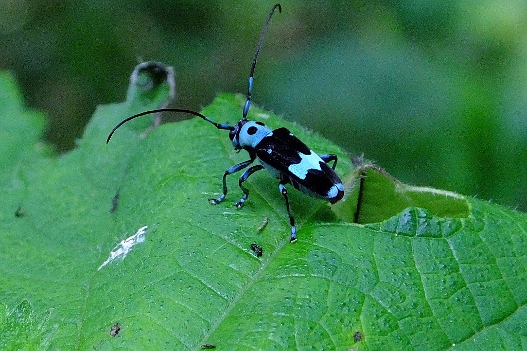 b0236251_11392730.jpg
