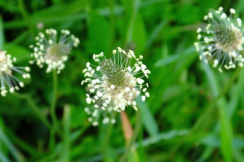 b0236251_11412012.jpg