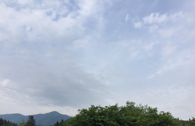 b0311459_16411895.jpg