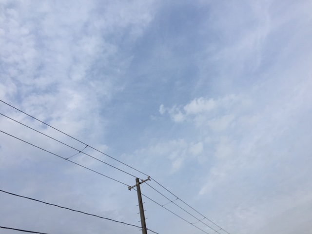 b0311459_16411949.jpg