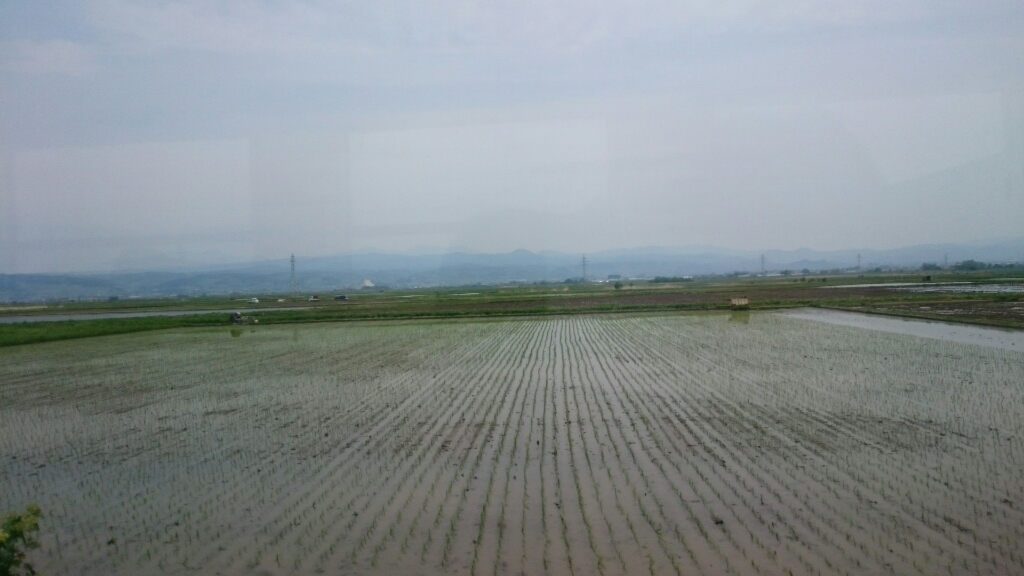d0337560_12152213.jpg