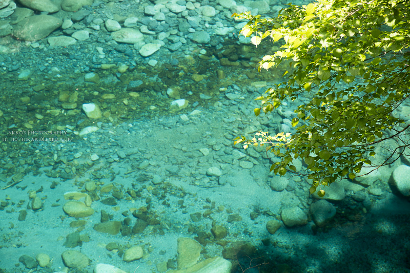 e0342760_08591511.jpg