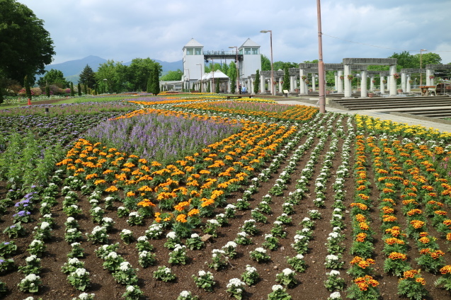 f0345263_00481804.jpg