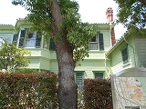 f0222378_1064725.jpg