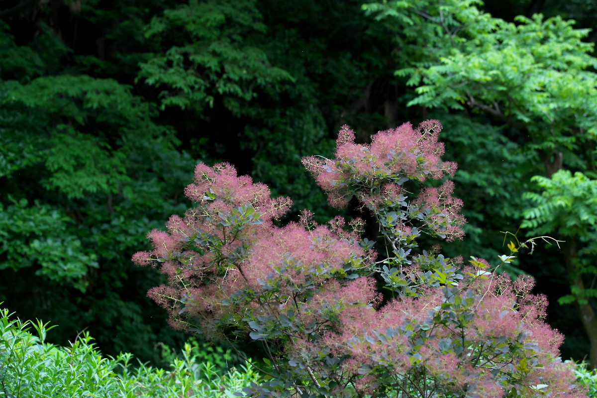 a0083081_18132414.jpg
