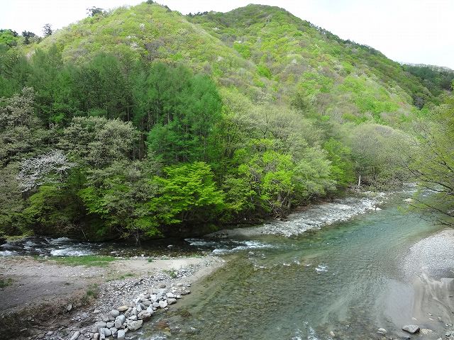 f0017185_1720239.jpg