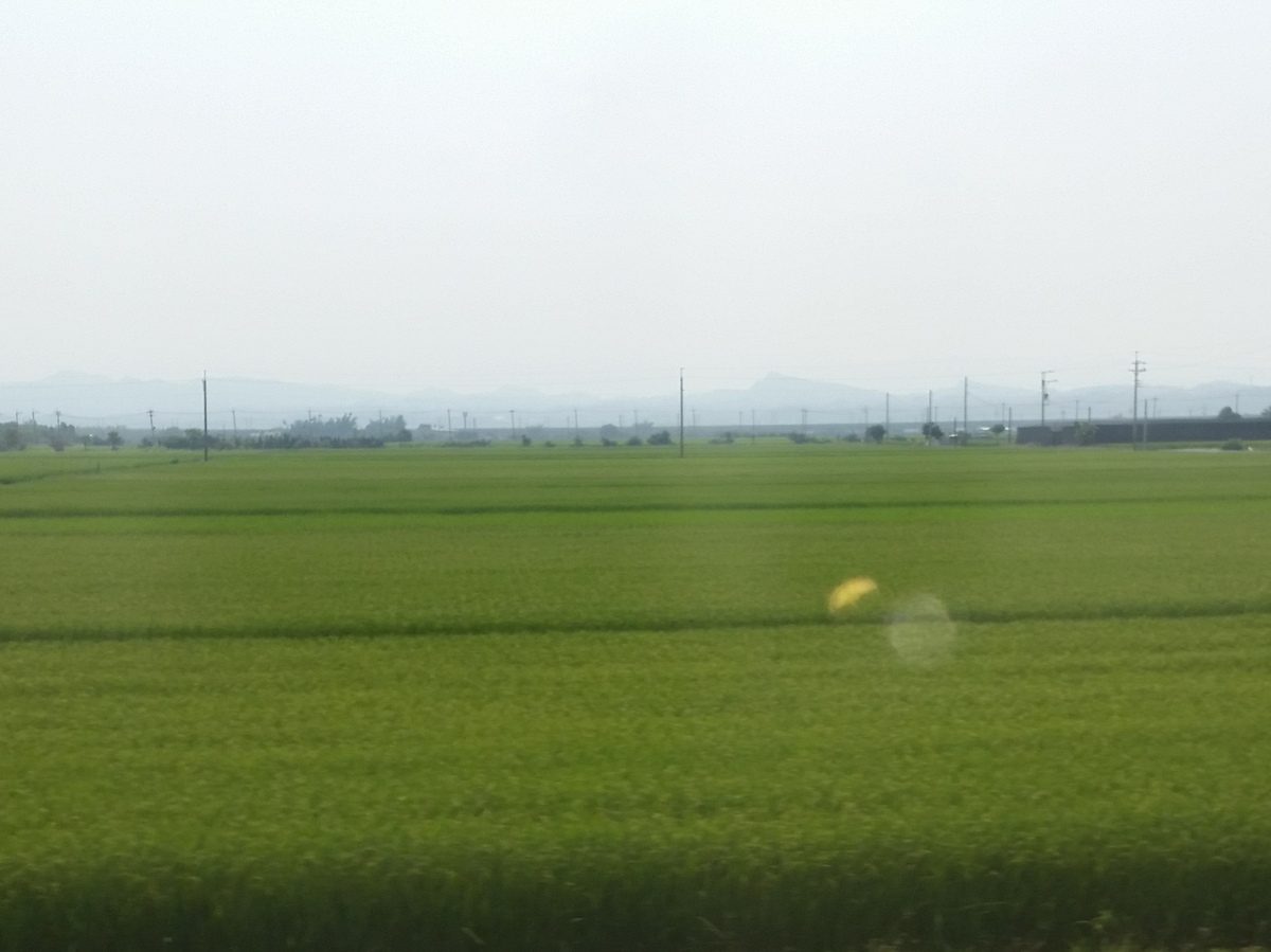 c0013687_0142793.jpg