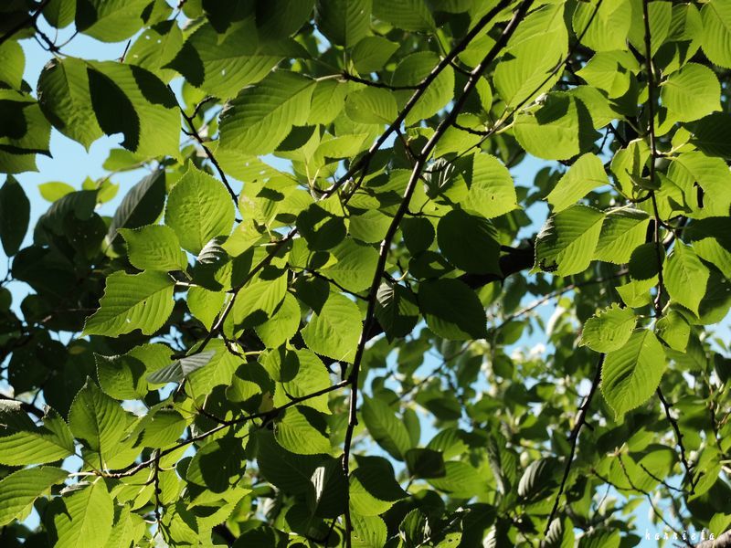 c0152690_22543590.jpg