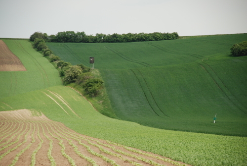 e0151592_06565524.jpg