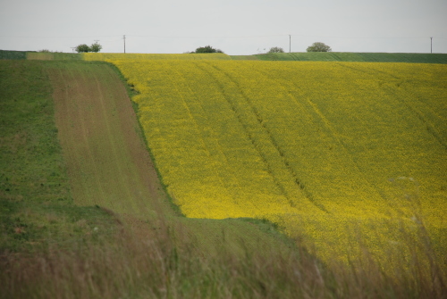 e0151592_06581840.jpg