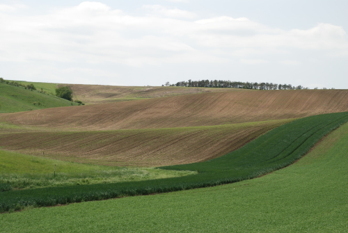 e0151592_07060925.jpg