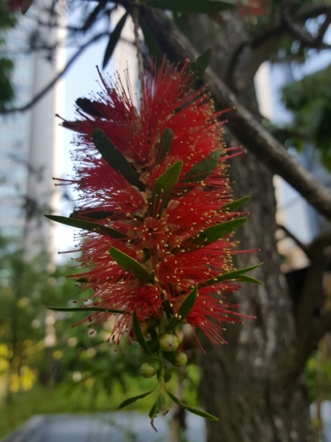 a0344593_11460129.jpg
