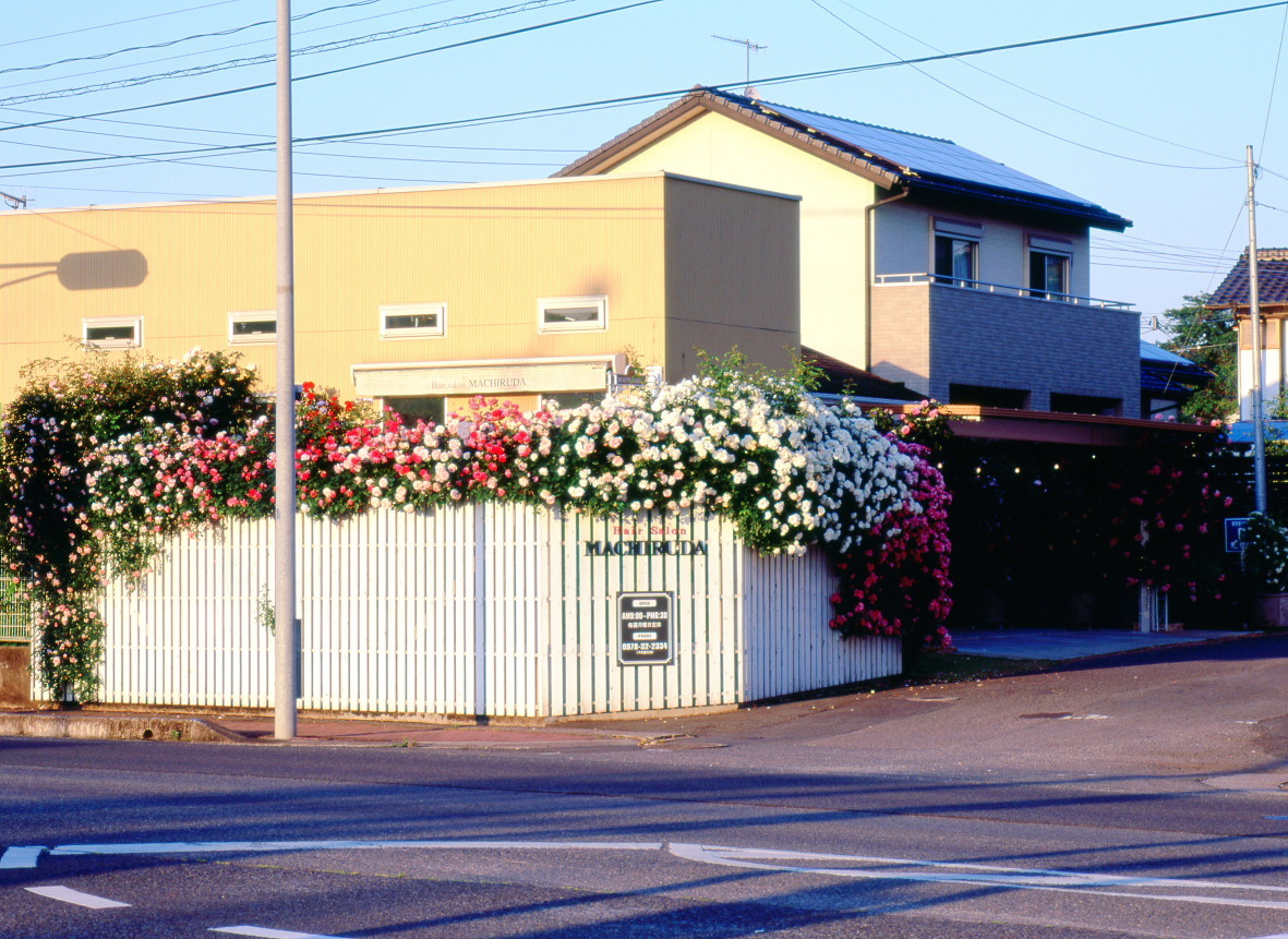 c0149393_18021311.jpg