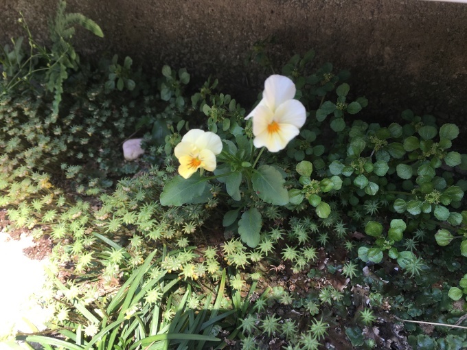 d0269898_17385627.jpeg