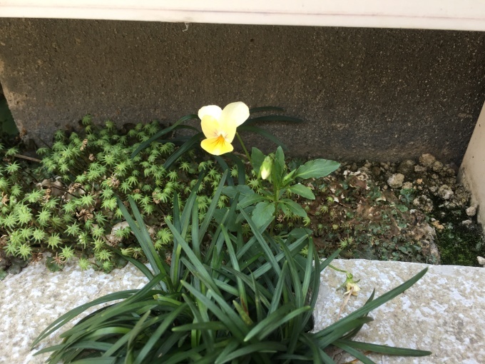 d0269898_17391244.jpeg