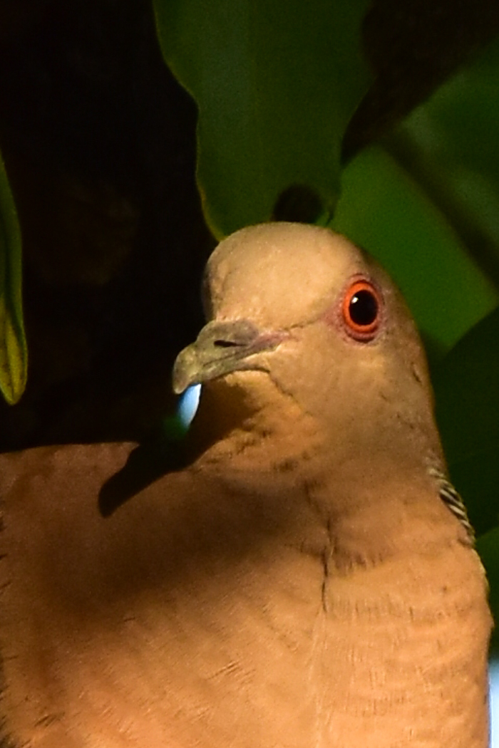 c0049299_22000310.jpg