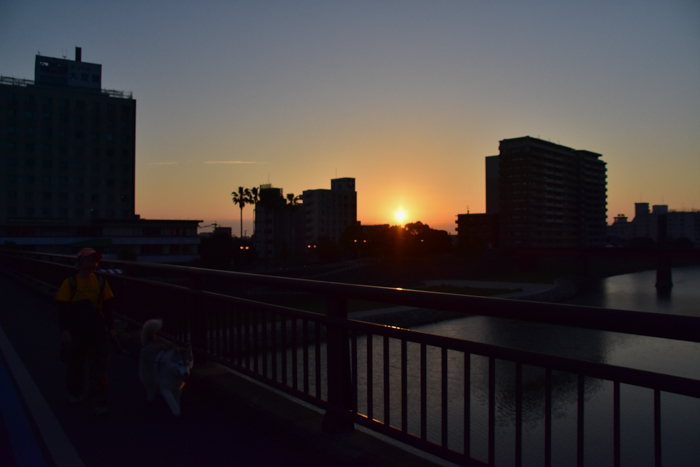 c0049299_22395147.jpg