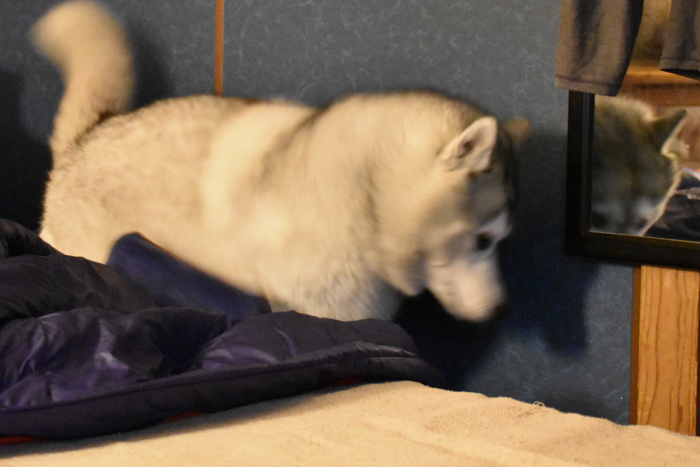 c0049299_22395149.jpg