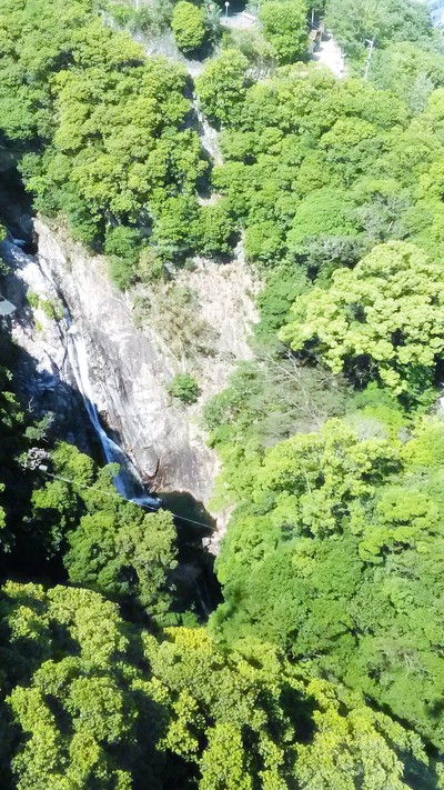 c0221299_15445240.jpg