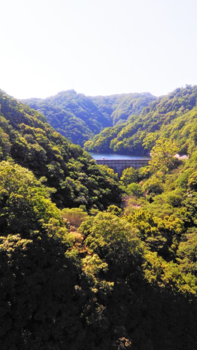 c0221299_15454062.jpg