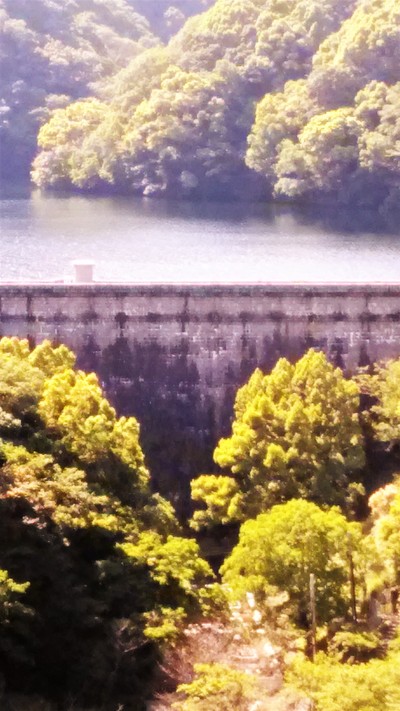 c0221299_15474579.jpg