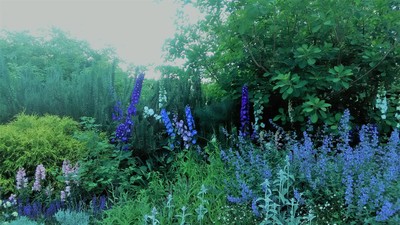c0221299_15542664.jpg