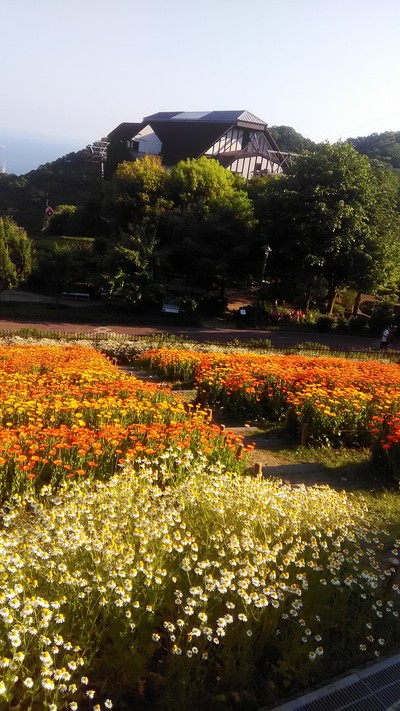 c0221299_15572894.jpg