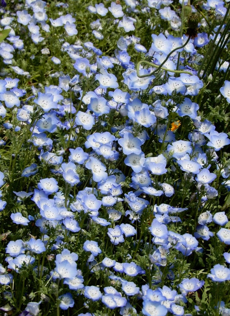 e0025300_21325039.jpg