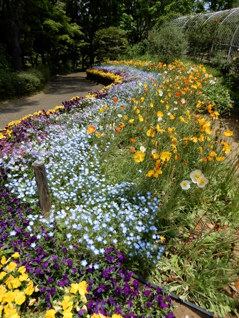 e0025300_2132772.jpg