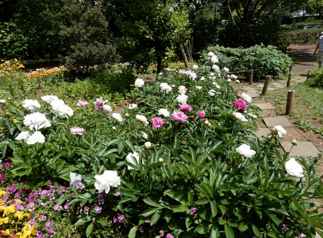 e0025300_21331760.jpg