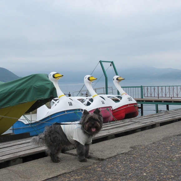 d0009101_201038.jpg