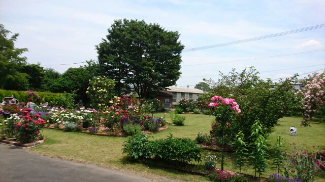 d0075703_891874.jpg
