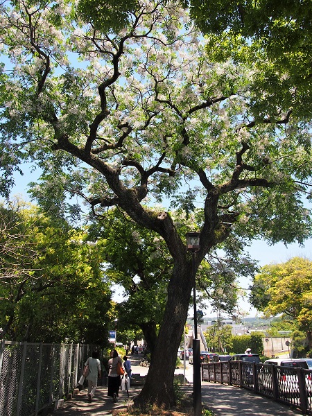 e0245404_1712657.jpg