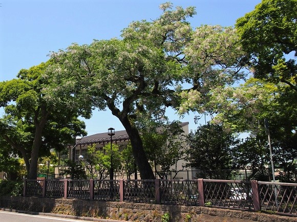 e0245404_17132263.jpg