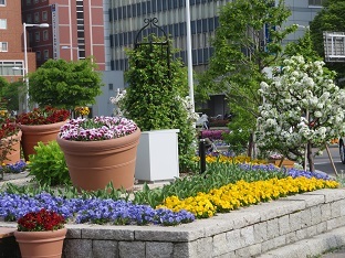 f0325309_14423829.jpg