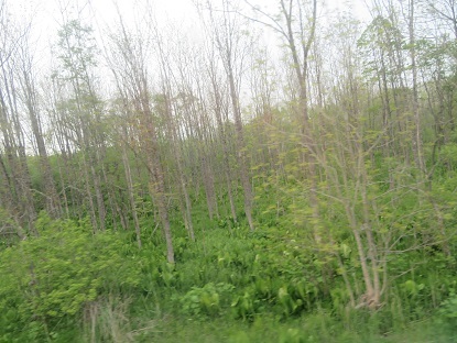 f0325309_14432424.jpg