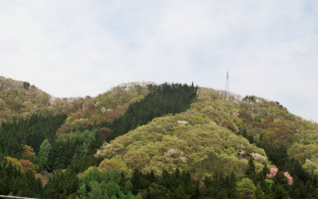 b0064411_07321002.jpg