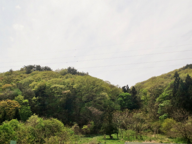 b0064411_07341770.jpg