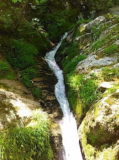 c0359615_21070607.jpg