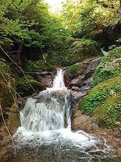 c0359615_21072724.jpg
